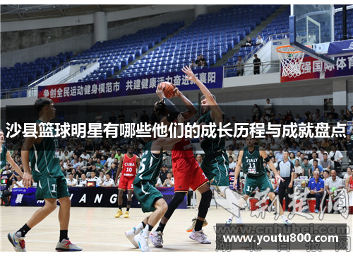 沙县篮球明星有哪些他们的成长历程与成就盘点