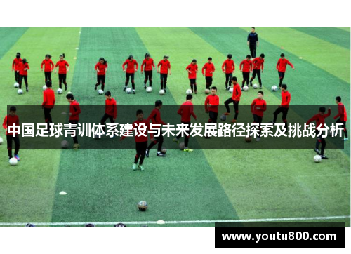 中国足球青训体系建设与未来发展路径探索及挑战分析